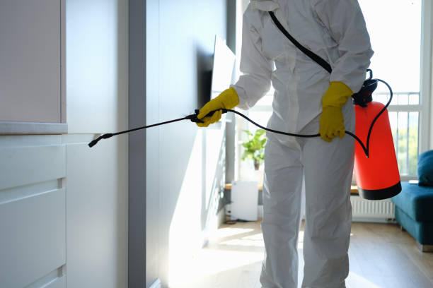 Best Mold Remediation Services  in Wyndham, VA
