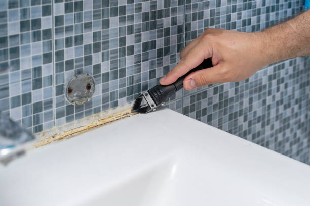 Best Mold Remediation  in Wyndham, VA
