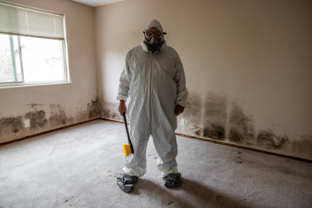 Best Local Mold Removal Service  in Wyndham, VA